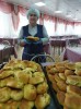 смотреть подробнее...